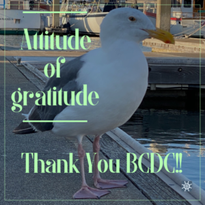 Attitude of Gratitude