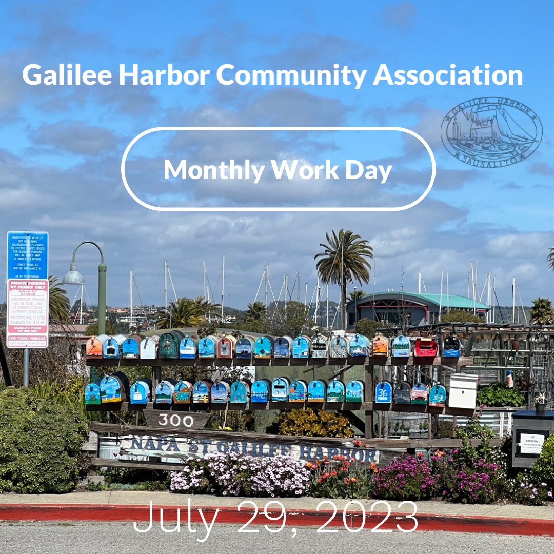 Galilee Harbor Community Association Monthly Work Day July 29, 2023